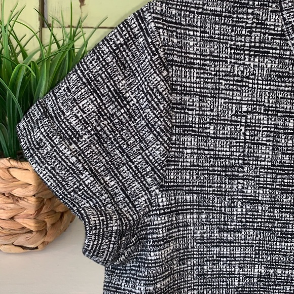 Rachel Zoe Textured Black & White Short Sleeve Mini Dress S - Picture 4 of 8